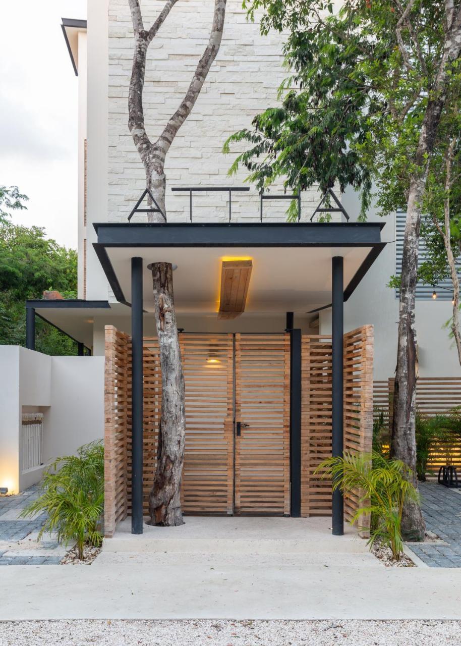 Casa Julian - 2br Amazing Jungle Scape At Aldea Zama Apartment